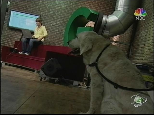aj_giga050708_09.jpg