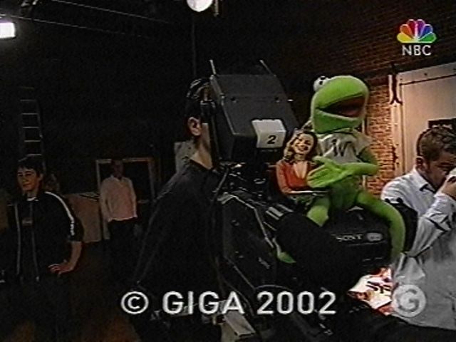 mirikermit0212052.jpg