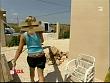 ce_sos051104_04.jpg